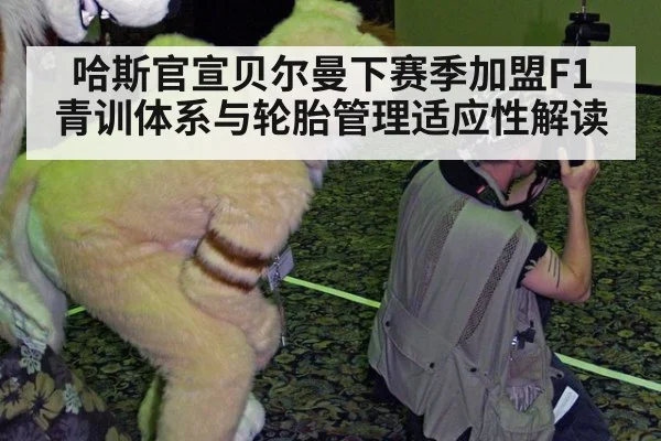 哈斯官宣贝尔曼下赛季加盟F1 青训体系与轮胎管理适应性解读