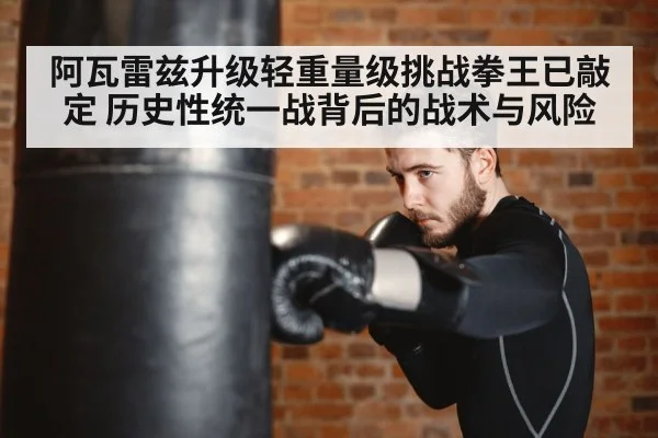 boxer training punching bag